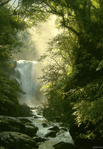 rushing waterfall